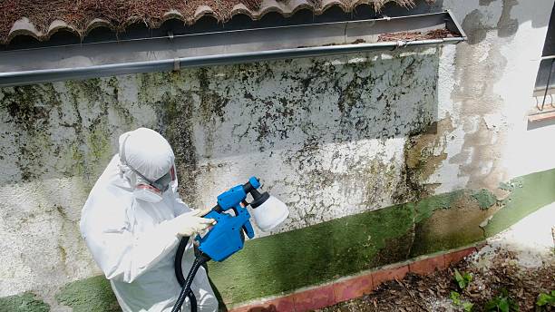 Top rated local Commercial Mold Remediation specialists in Derwood, MD